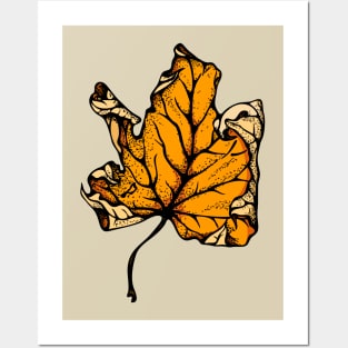 colourful autumn leaves Posters and Art